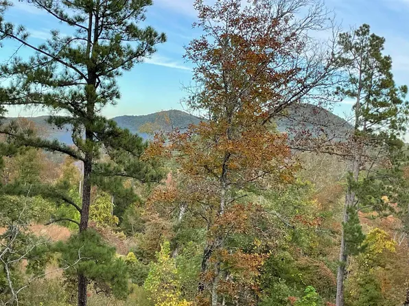 850 Jones Cemetery Rd, Calico Rock, AR 72519