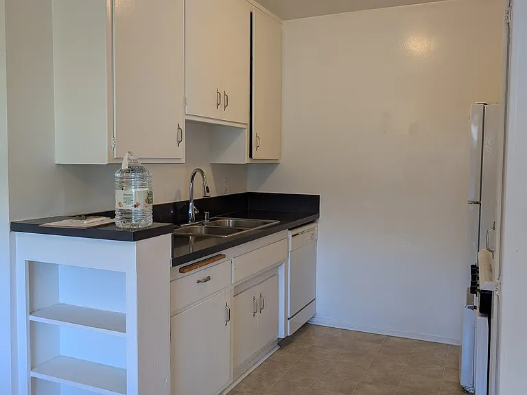 Kitchen Sink and Dishwasher