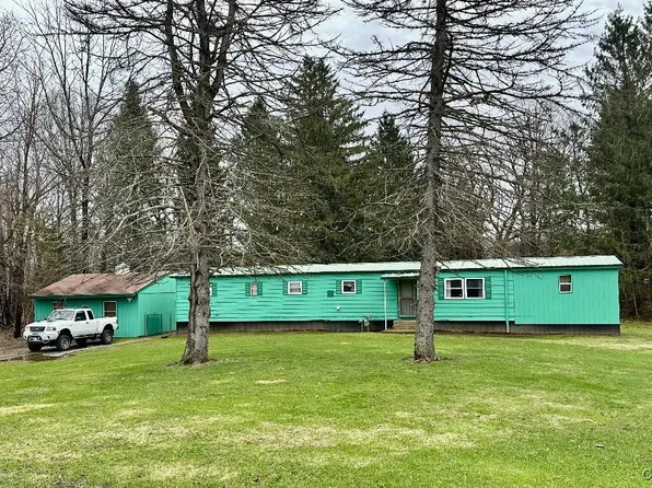 36 Scott Dr, Hannibal, NY 13074