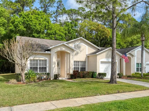 3516 Tealwood Cir, Palm Harbor, FL 34685