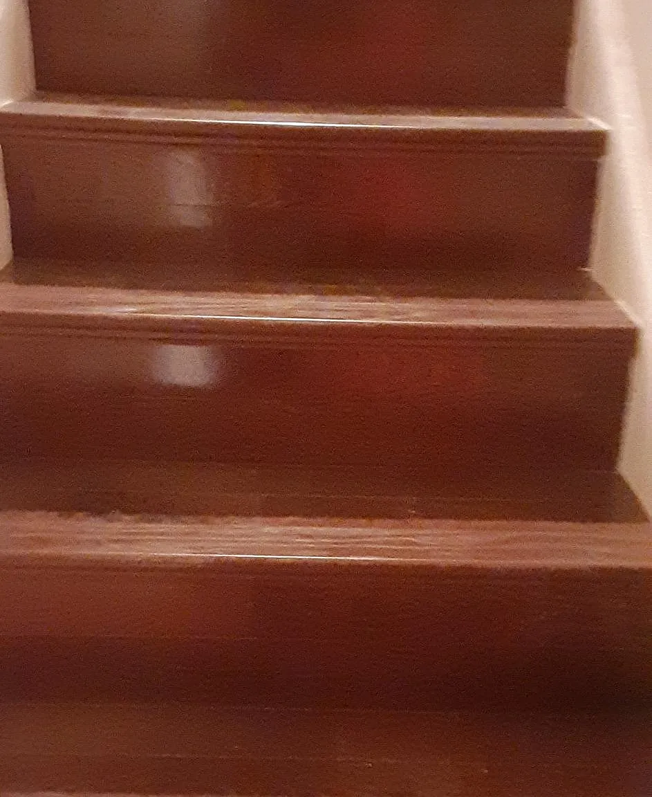 3 bed, 1.5 bath, 1500 sqft, $3,000 — Photo 3