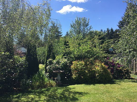 Upper backyard