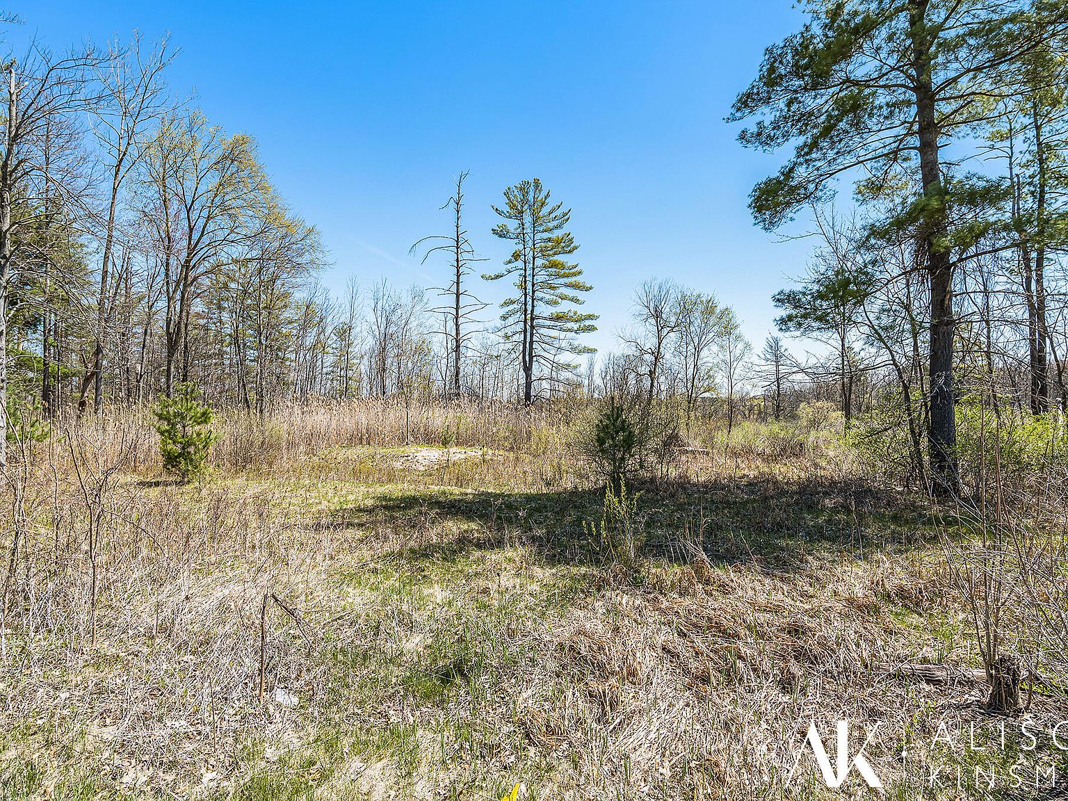 6880 Ramsdell Dr NE, Rockford, MI 49341 Zillow