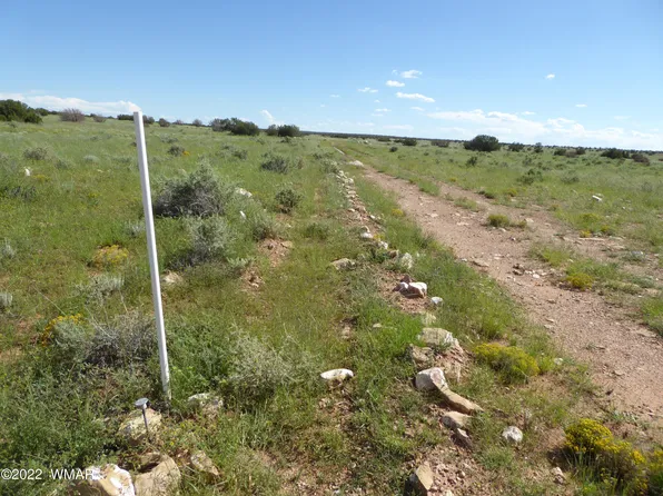 LOT 448 Chevelon Canyon Dr #3, Heber, AZ 85928