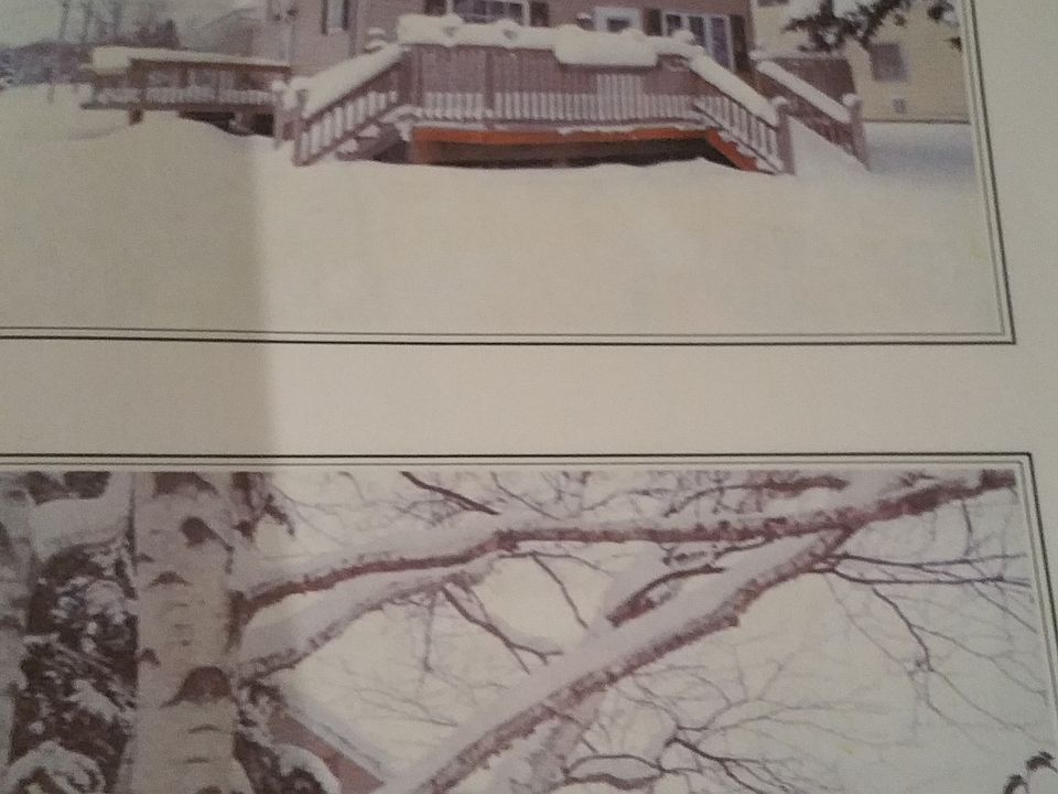 1st image of 1302 Florence St