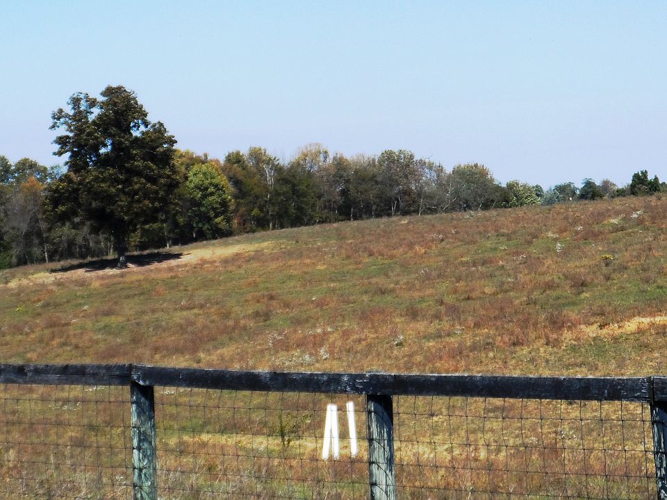 2nd image of Barber Mills Road-marion-washington County