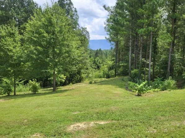 147 Hiwassee Trails Dr, Delano, TN 37325