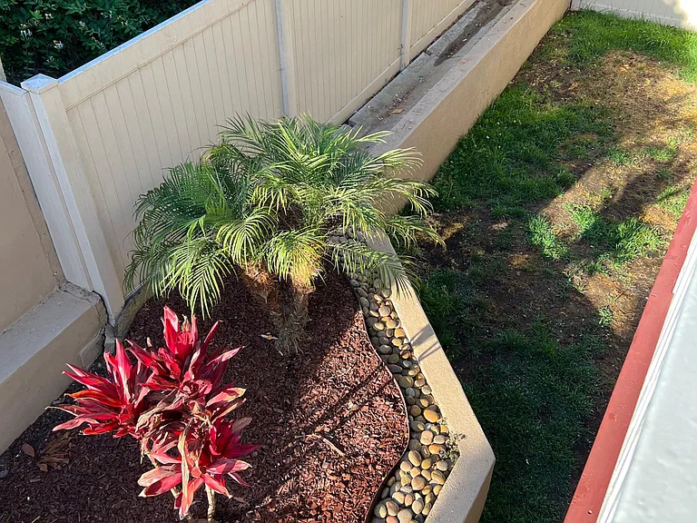 Small enclosed backyard - currently being seeded.