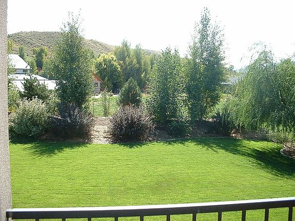 nicely landscaped yard