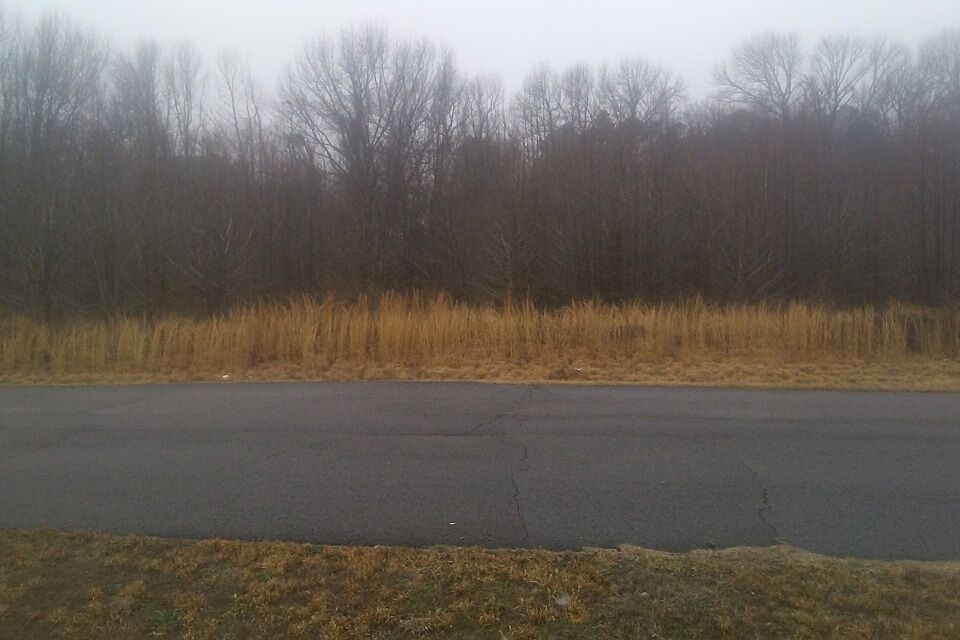 1st image of 292 Stonegate Dr