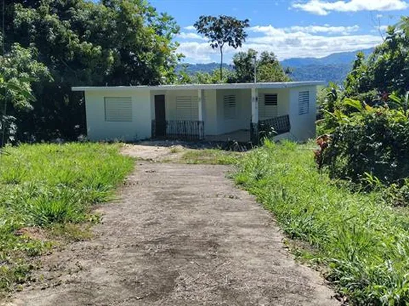 Jayuya PR Single Family Homes For Sale - 1 Homes | Zillow