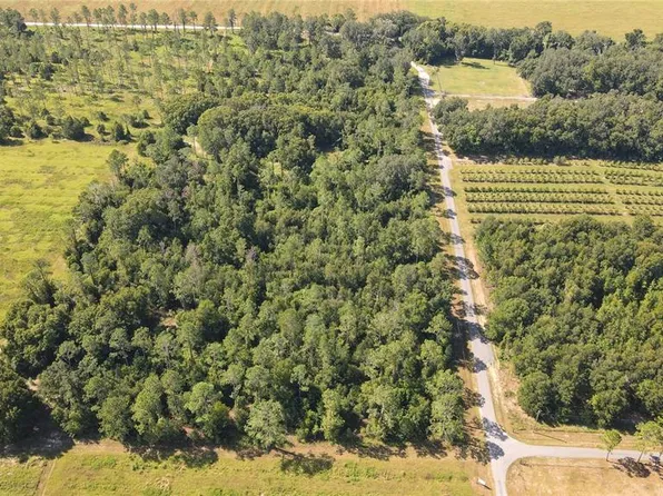 Amberlea Rd #1, Dade City, FL 33523