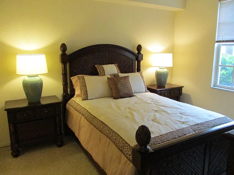 Master Bedroom w flat sceen TV
