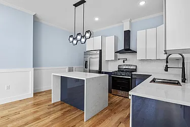 20 Zabriskie Street, #1