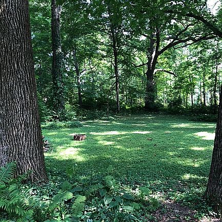 3rd image of 8001 Oak Hill Dr