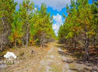 0 NE Elim Church Rd, Ludowici, GA 31316