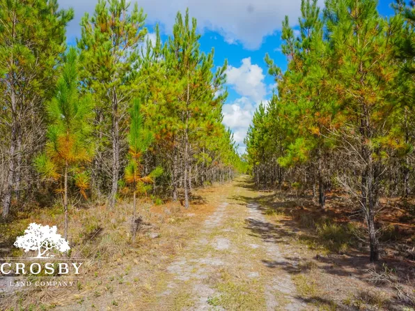 0 NE Elim Church Rd, Ludowici, GA 31316