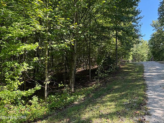 5th image of Bear Hollow Rd