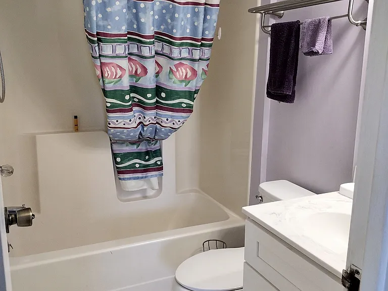 Guest bathroom