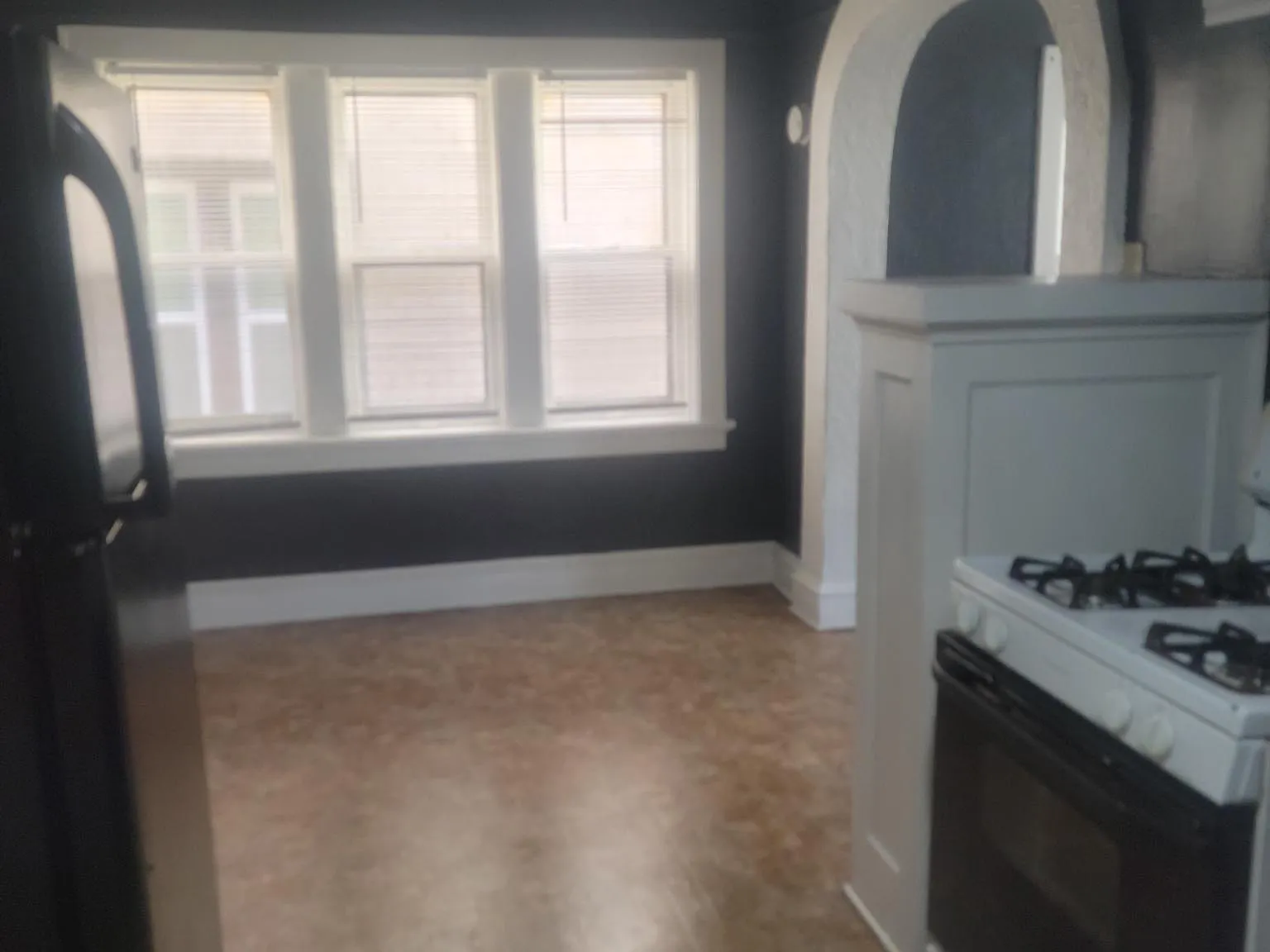 1 bed, $750 — Photo 3