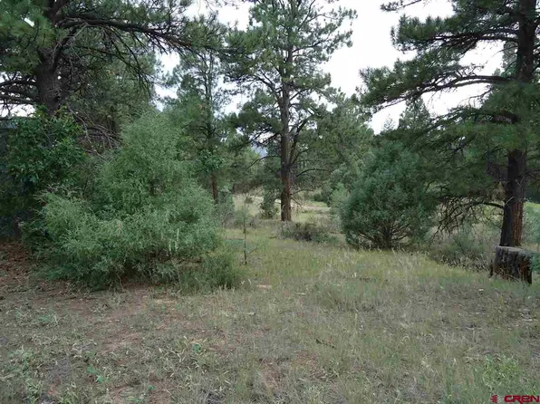 165 Dyke Cir, Pagosa Springs, CO 81147