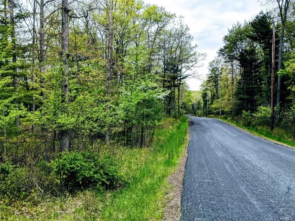 Ivan Franko Rd, Glen Spey, NY 12737