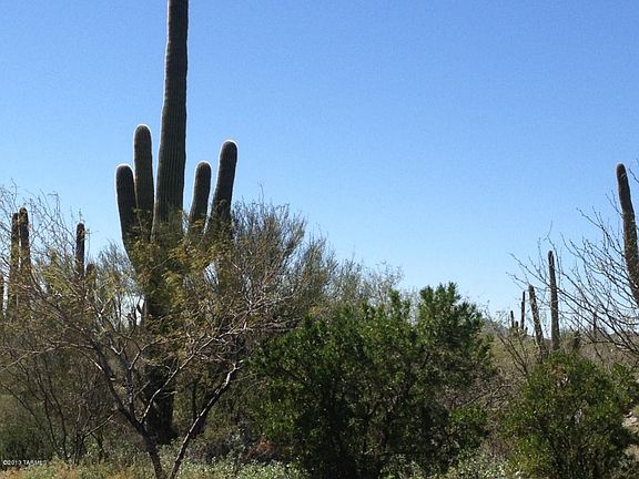 2nd image of 14462 N Giant Saguaro Pl