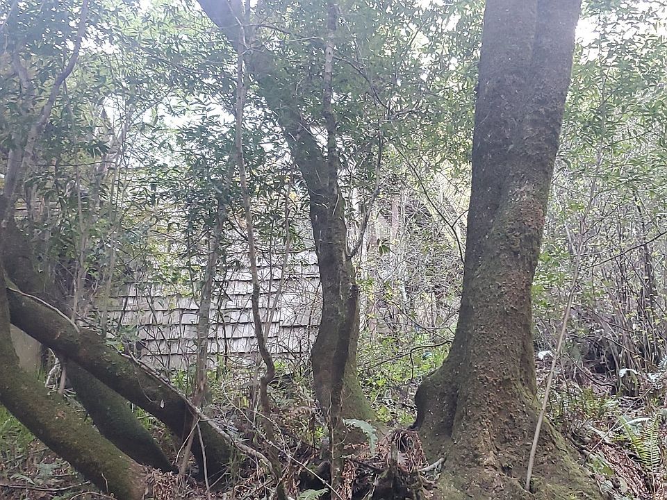 25 Portola Ave, Lagunitas, CA 94938 Zillow