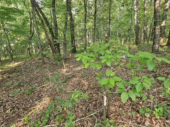 Funderburg Bend Rd #Com, Pell City, AL 35128