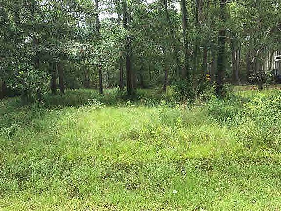 2nd image of 759 Bear Creek Dr