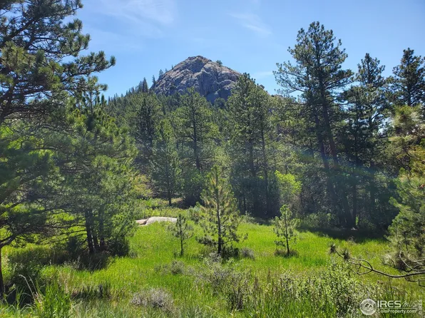 272 Haystack Dr, Livermore, CO 80536