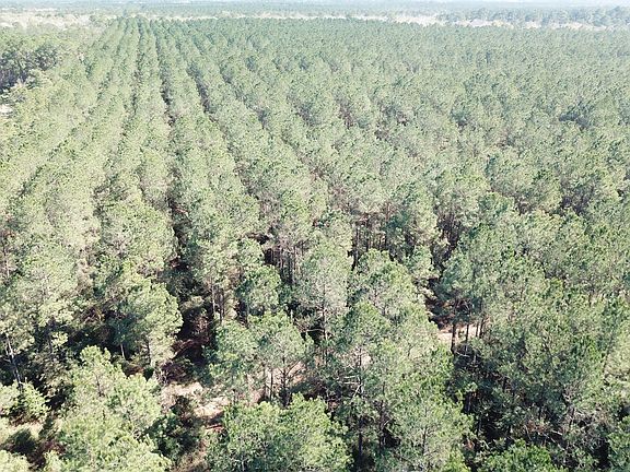 2nd image of 0 Corrigan Rd