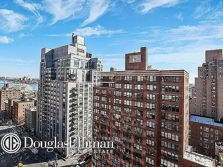 455 E 86th St #15D — Photo 3