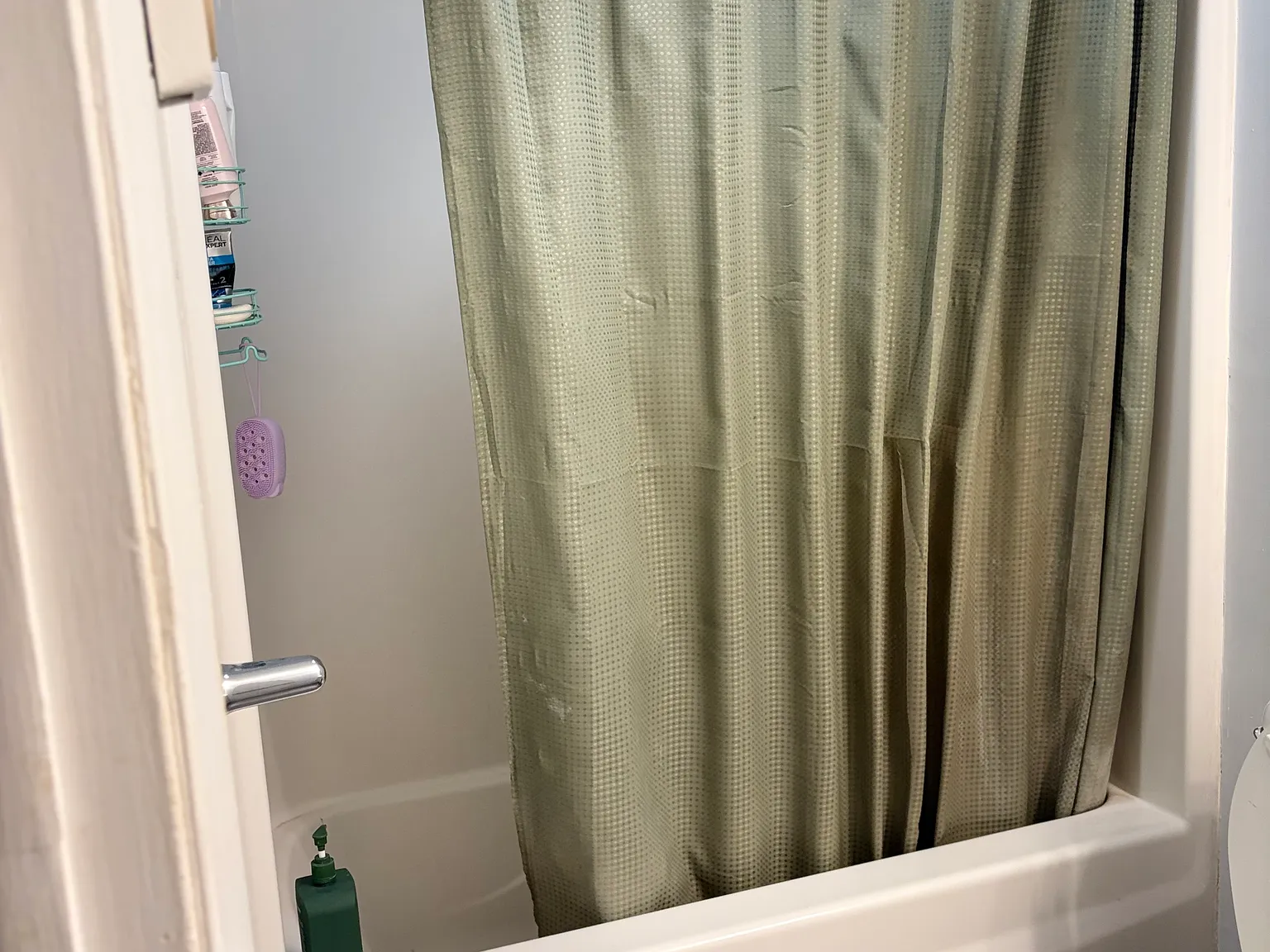 1 bed, 604 sqft, $1,600 — Photo 4