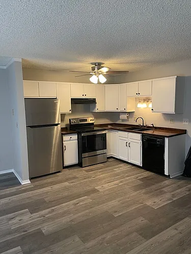2320 Villa Rosa Dr Photo 1