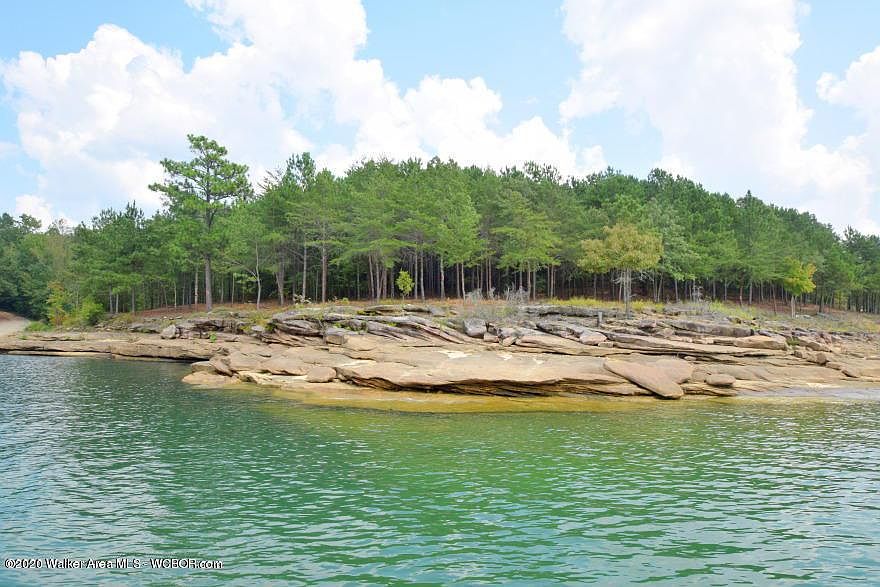 Image 1: Solid Rock Shoreline