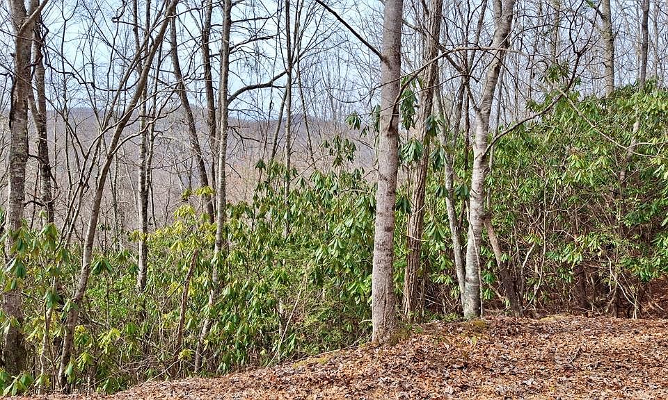 1st image of 0 Lake Ridge Ln