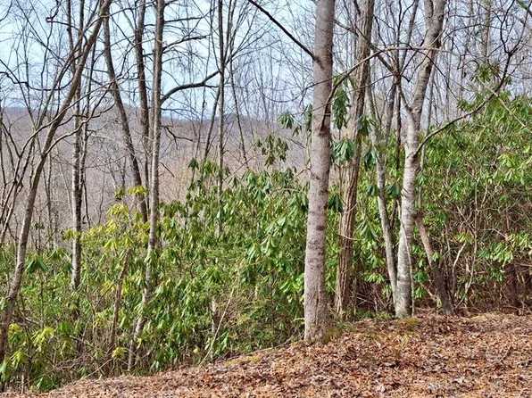 0 Lake Ridge Ln, Topton, NC 28781