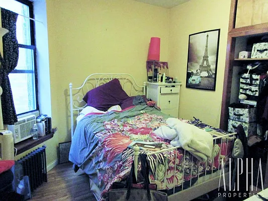 Rented by Alpha Properties NYC I LLC | media 27