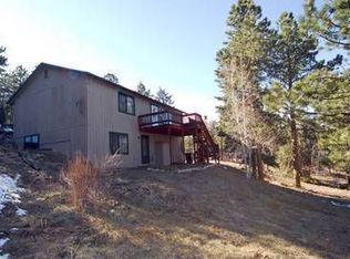14037 S Laura Ave, Pine, CO 80470