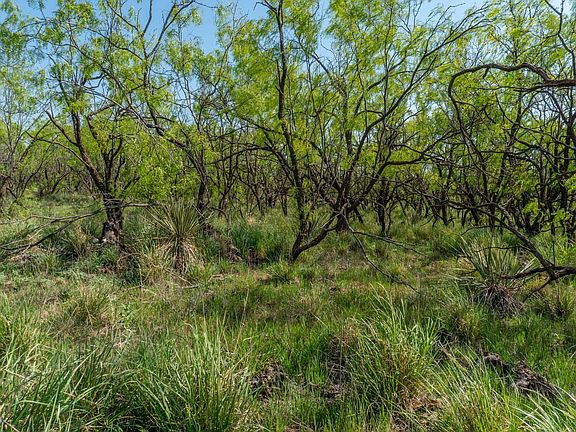 Lot For Sale in Sweetwater with Owner Financing Available