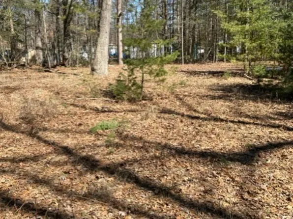 Xxx W Nestel Rd, Prudenville, MI 48651