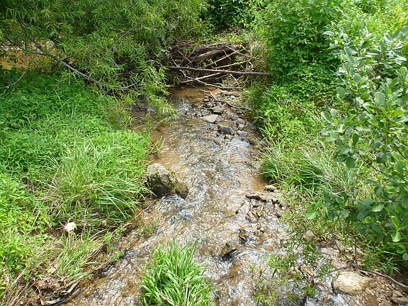 4th image of Mill Creek Rd