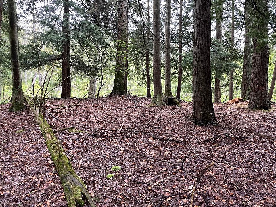 1st image of V/l E Pomeroy Springs Rd