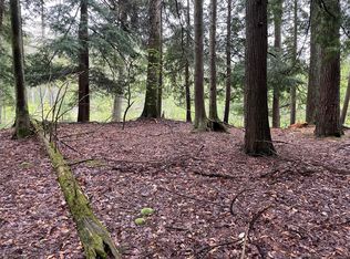 V/l E Pomeroy Springs Rd, Irons, MI 49644