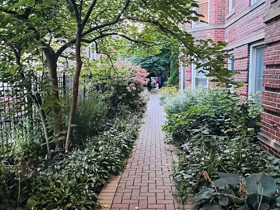 Courtyard garden