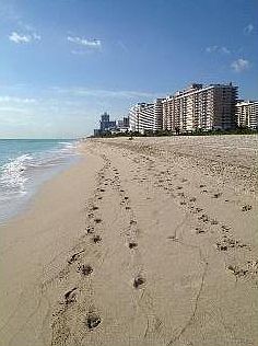 1st image of 5225 Collins Ave APT 604
