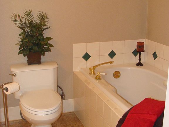 Jetted soaker tub in master bath