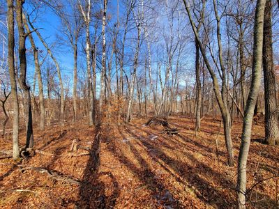 Hillside Pass, Pequot Lakes, MN, 56472