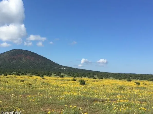 7065 TULIP Trail #9, Williams, AZ 86046